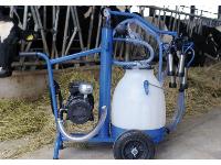 Αρμεκτικές μηχανές για αγελάδες